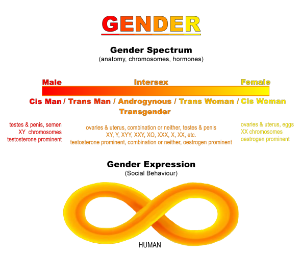GENDER-Spectrum (PNG)