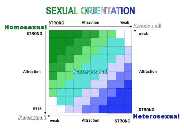 Sexual-Orientation-Spectrum-2